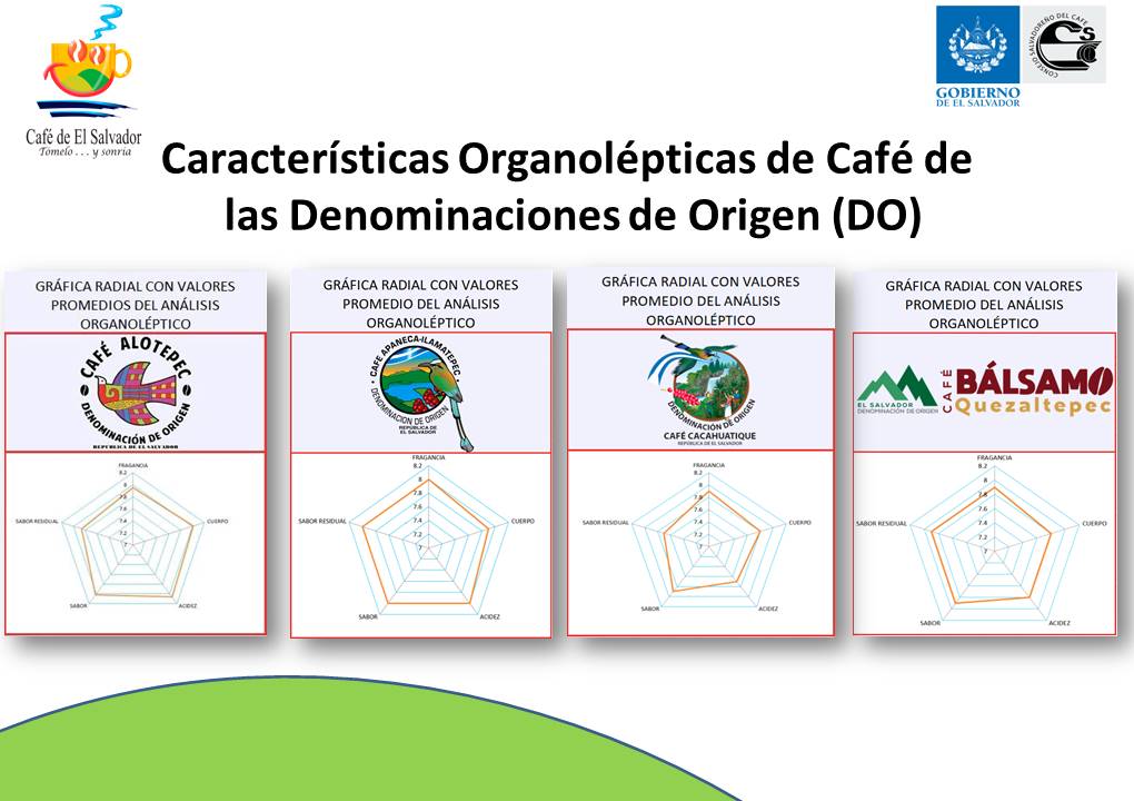 caracteristicas-do-13-09-2018