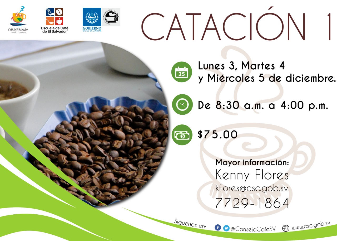 catacion-1-28-11-2018