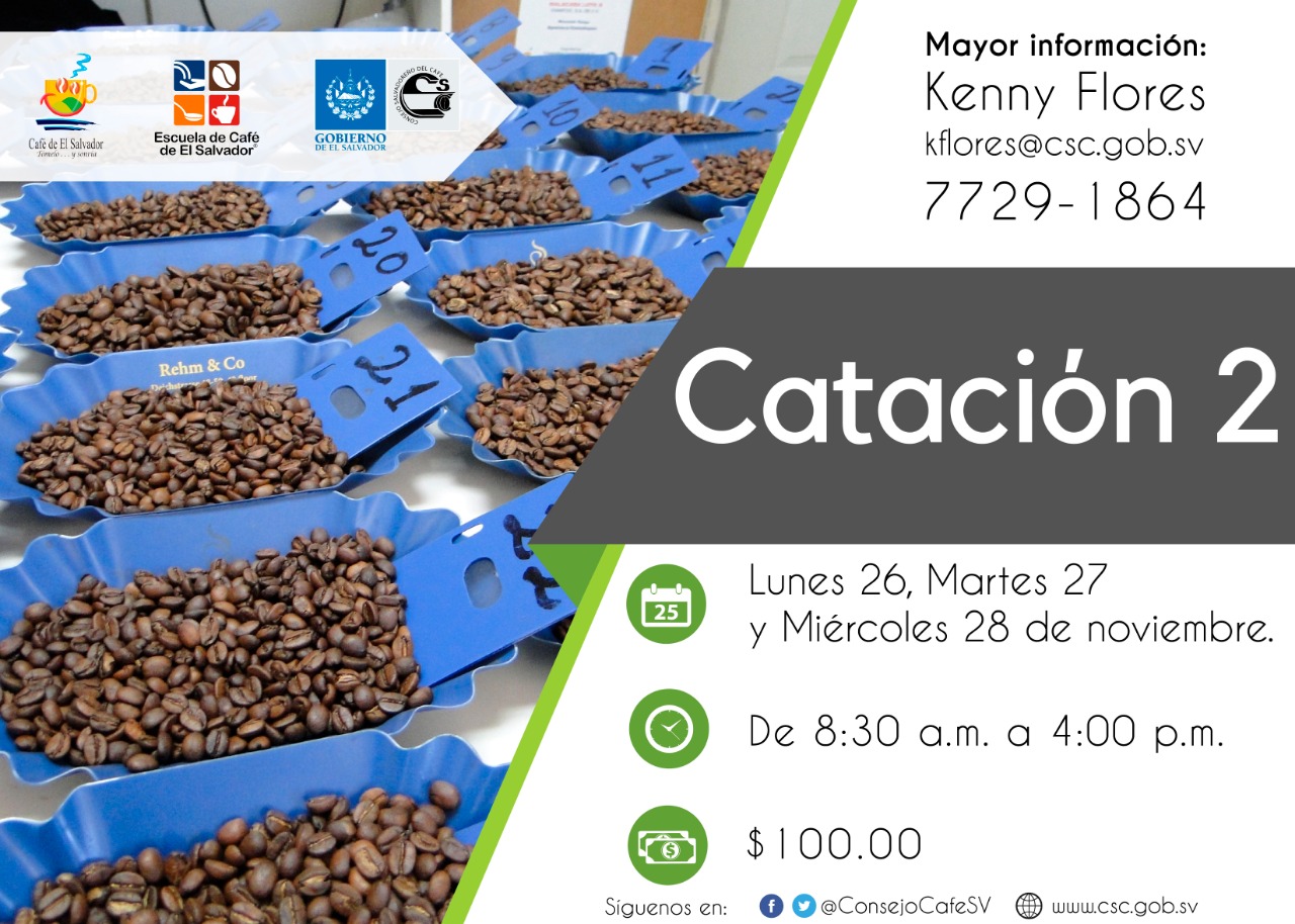 catacion-2-21-11-2018