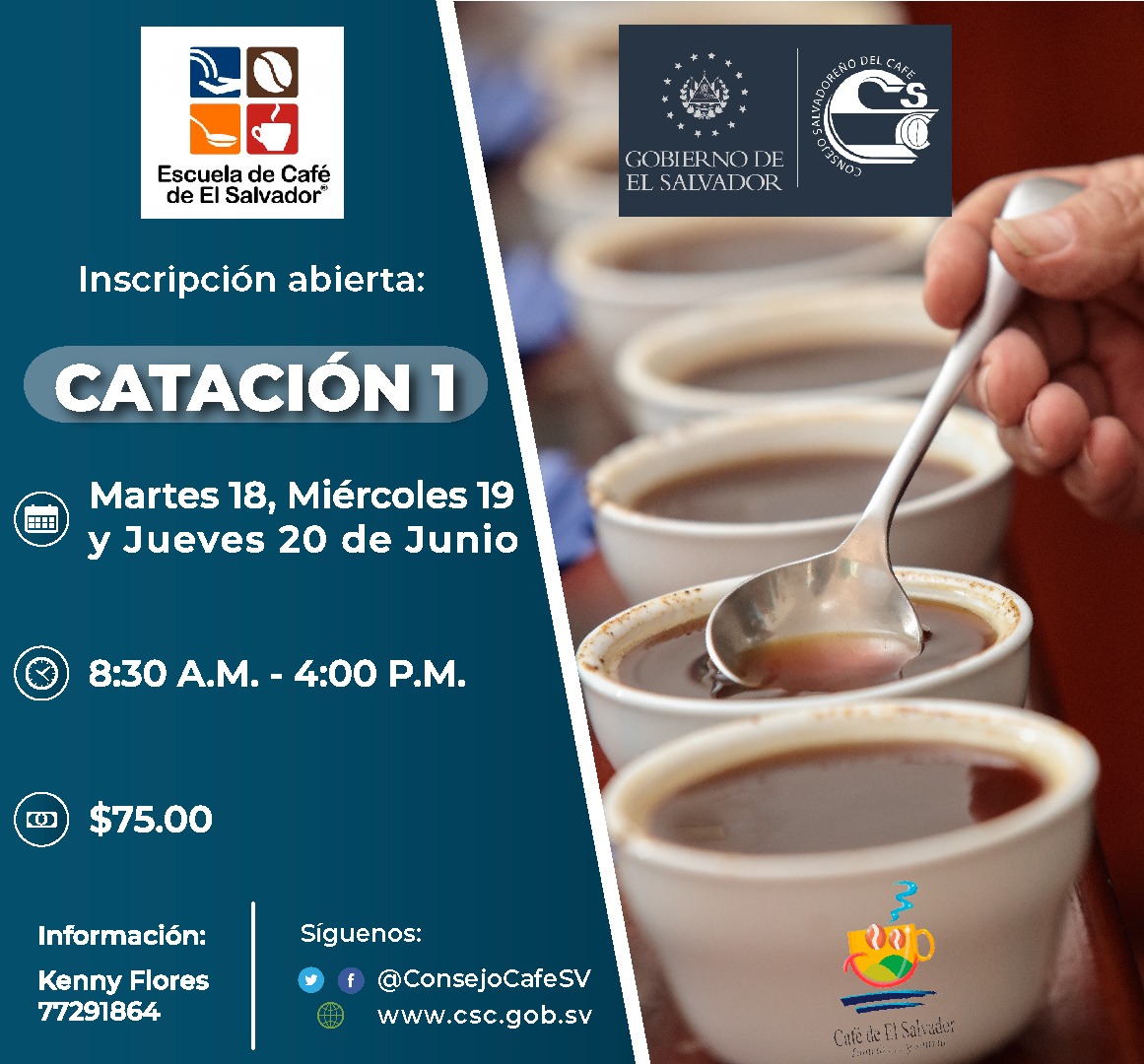 catacion-1-12-06-2019