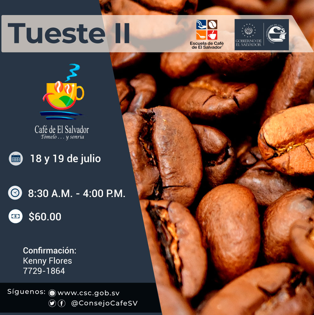 TUESTE-II-08-07-2019