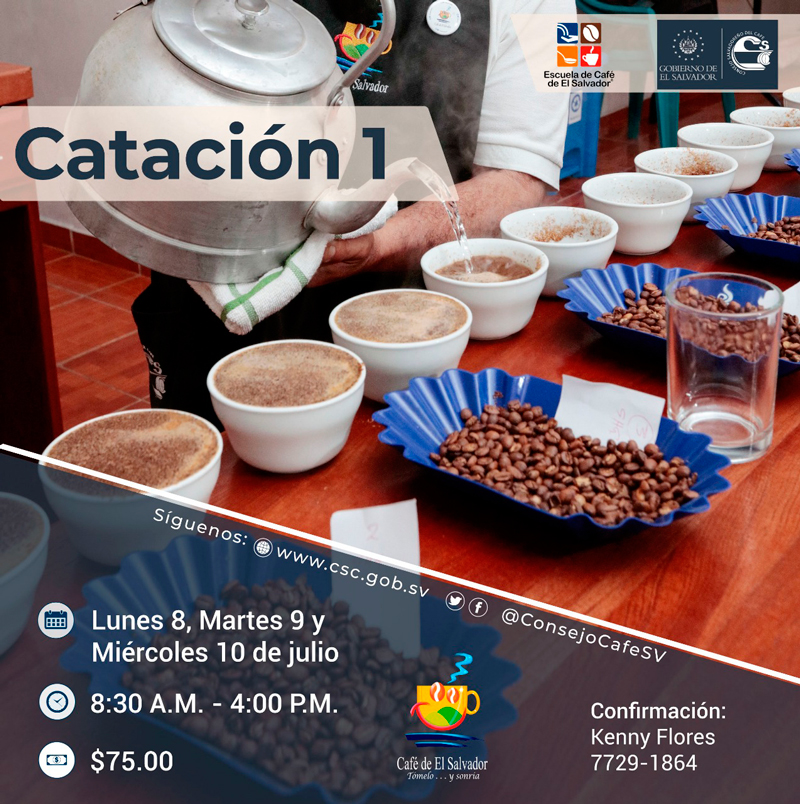 catacion-1-01-07-2019