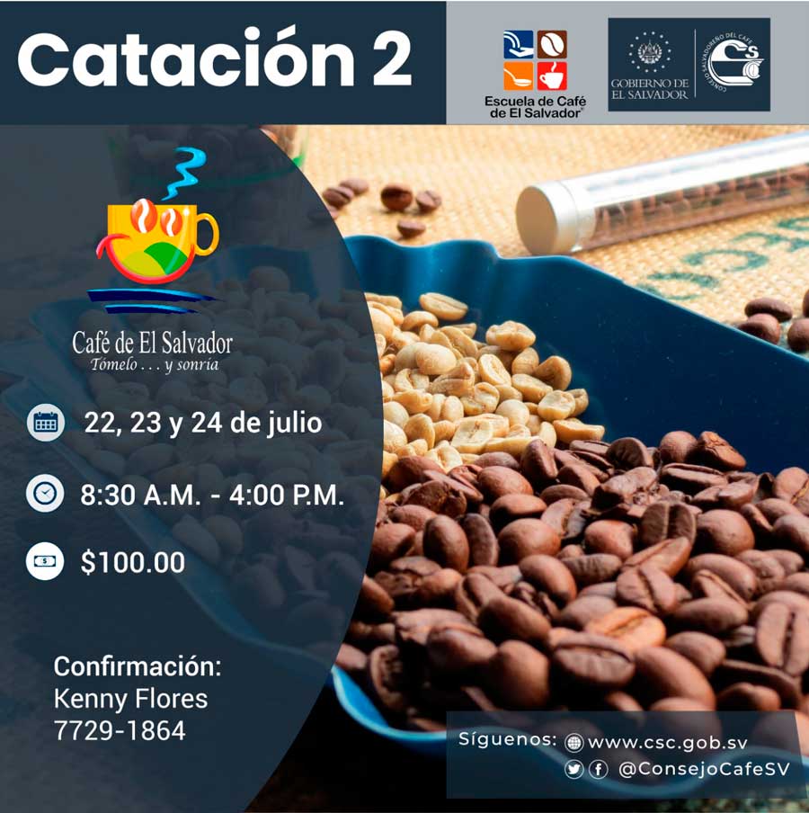 catacion-2-17-07-2019