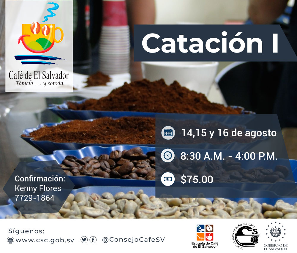 Catacion-1-07-08-2019