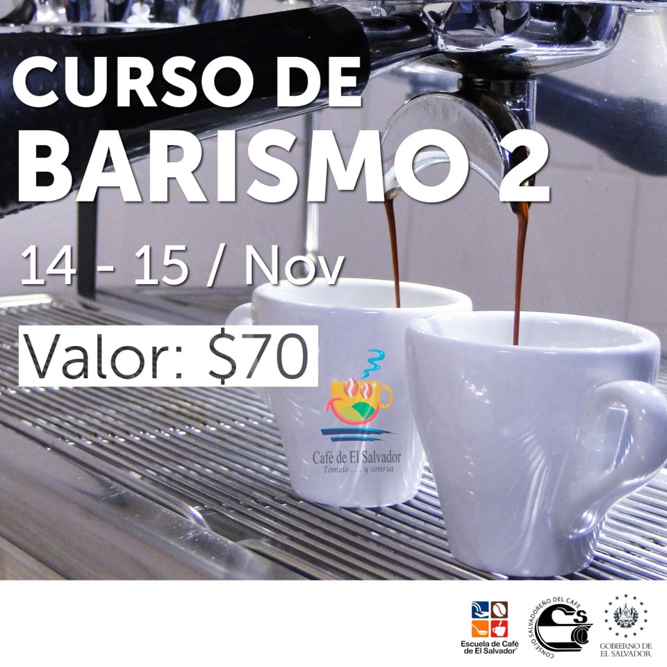 barismo-2-08-11-2019