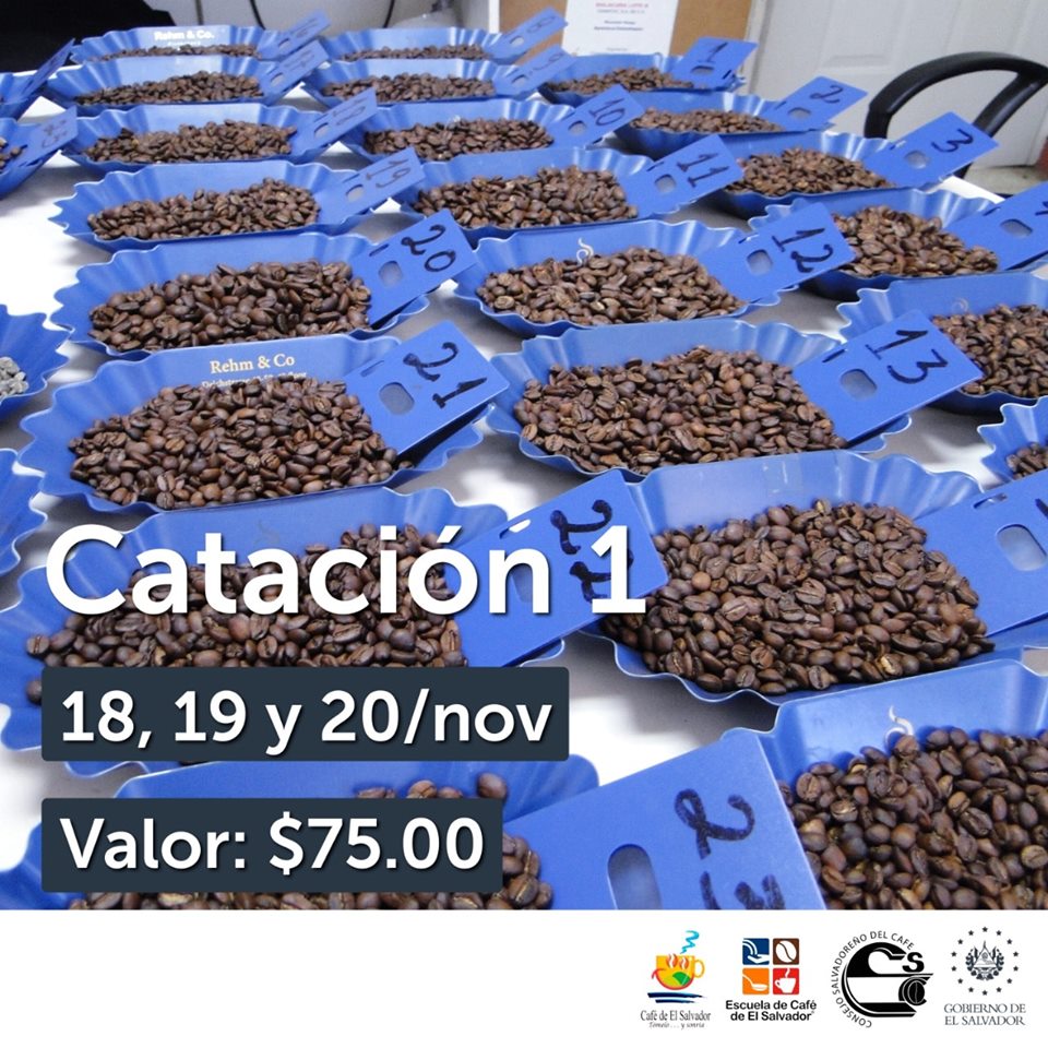 catacion-1-11-11-2016