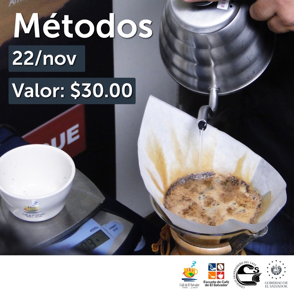 metodos-11-11-2019