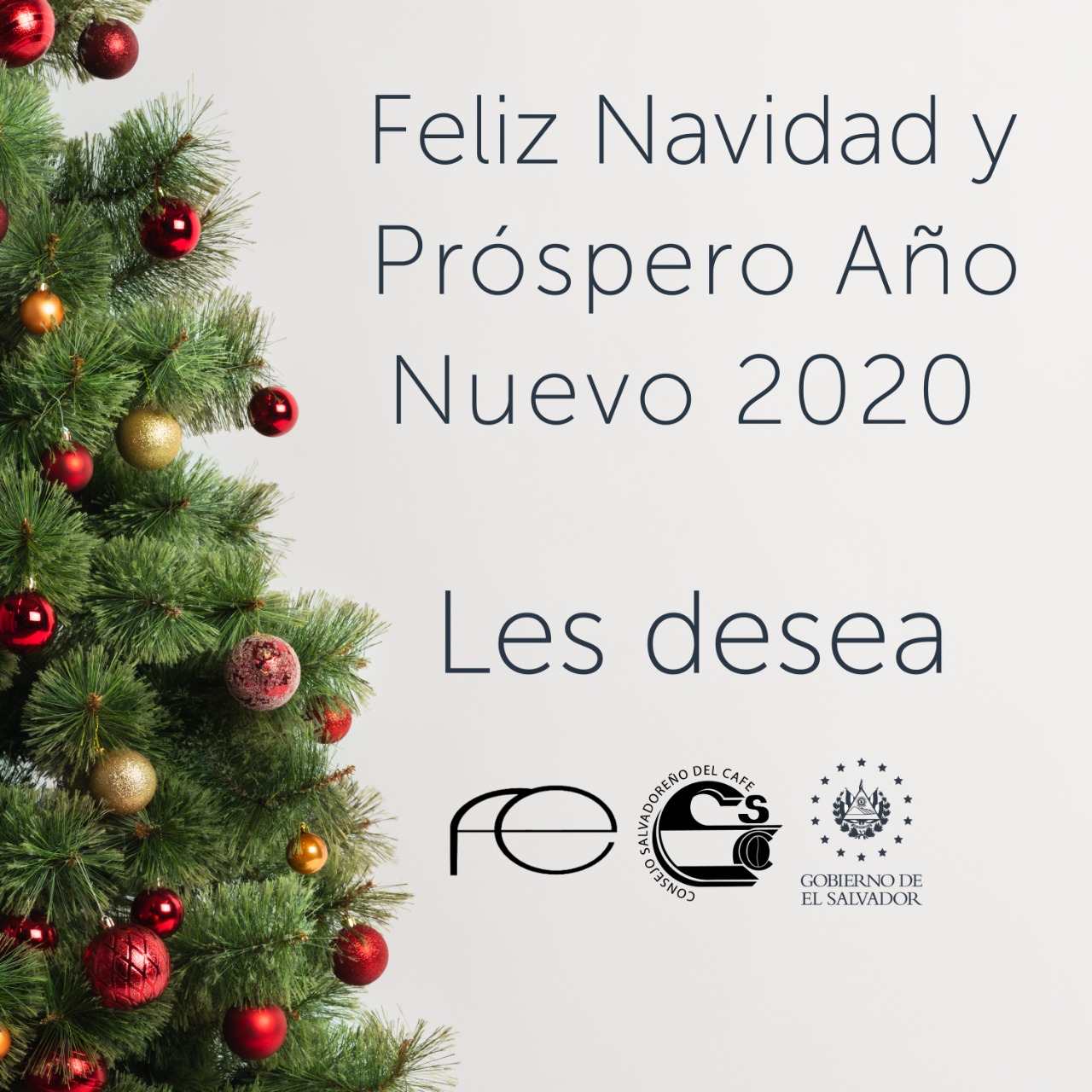 feliz-navidad-20-12-2019