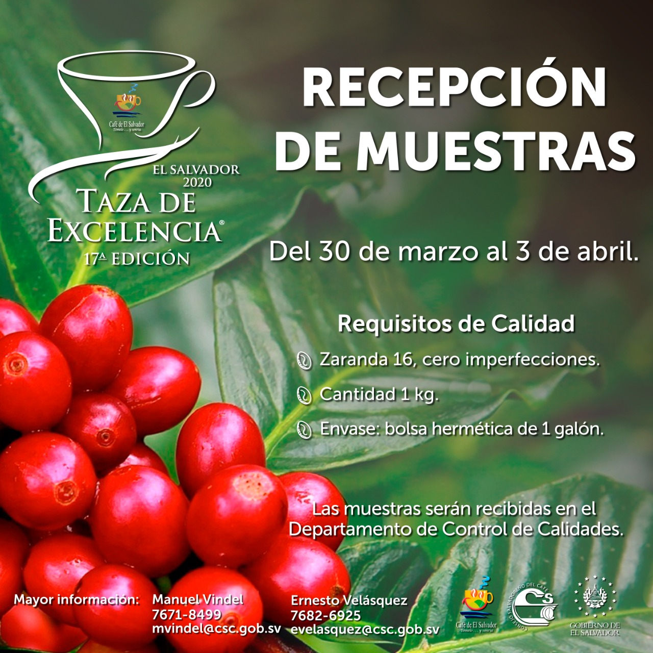 recepcion-de-muestras-16-03-2020