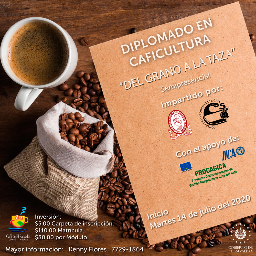 DIPLOMADO----DEL-GRANO-A-LA-TAZA-2020-06-26