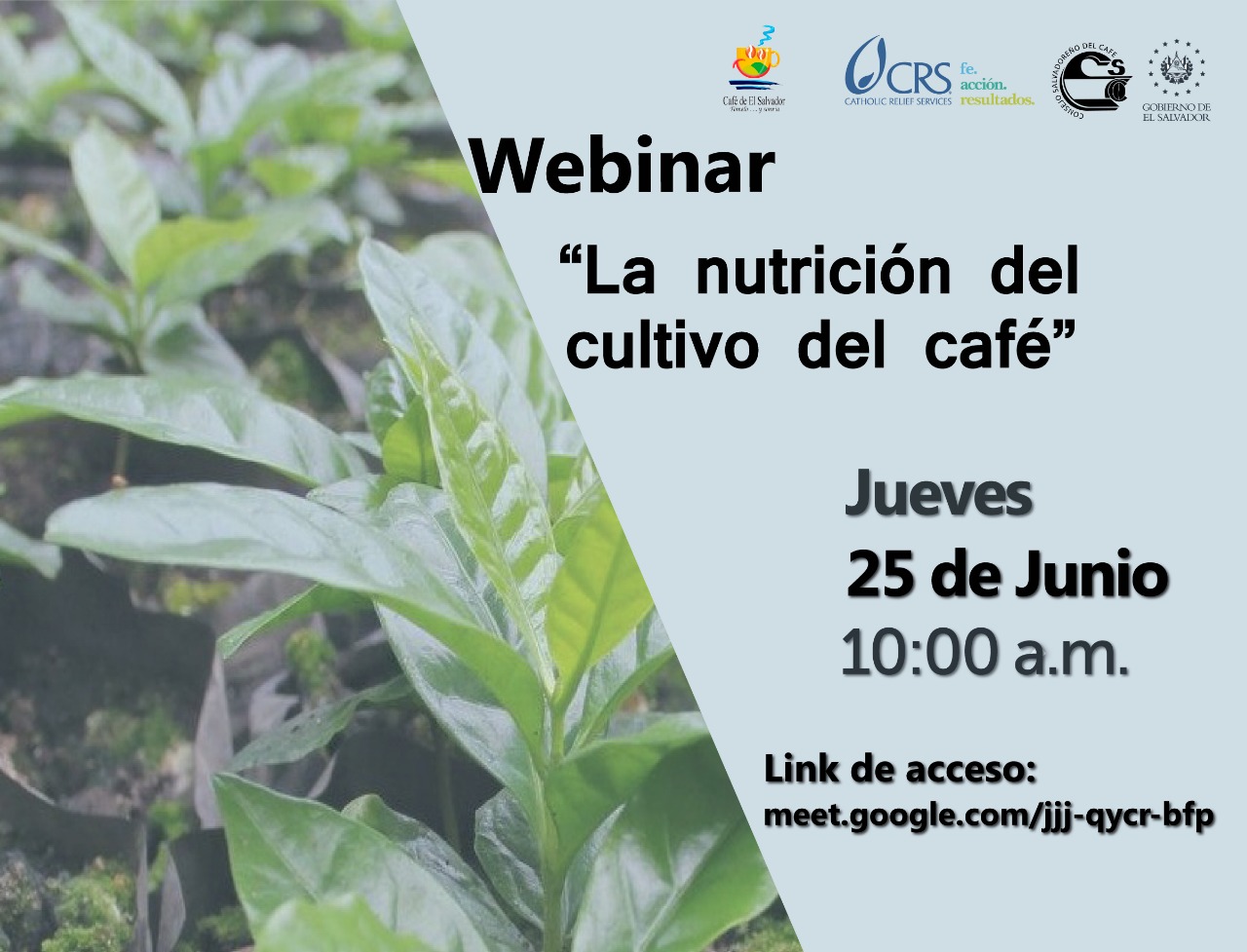 WEBINAR-3-NUTRICION-SUELOS-CSC-V1.1