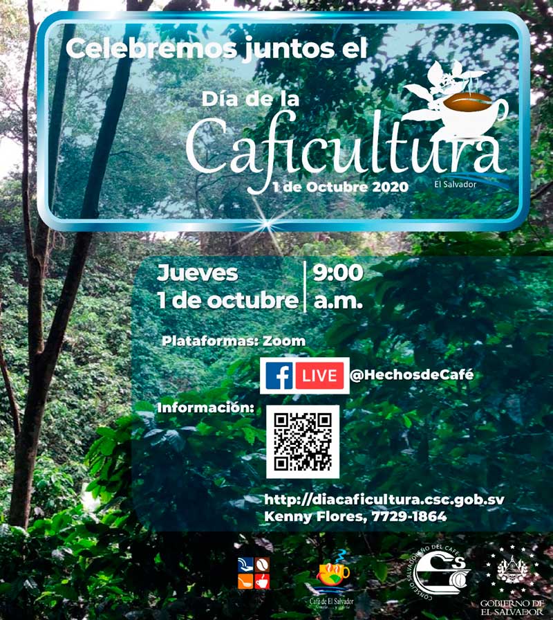 dia-caficultura-live-2020-10-01