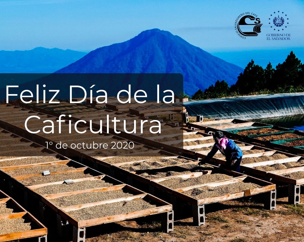 feliz-dia-de-la-caficultura-el-savador-2020-10-01